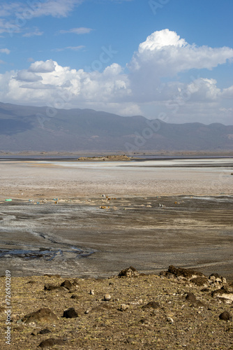 Lake Natron, the largest lake in the East African Rift Valley in Tanzania and to a small extent in Kenya, known for its pink flamingos