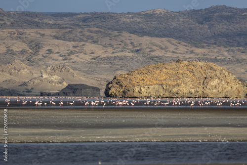 Lake Natron, the largest lake in the East African Rift Valley in Tanzania and to a small extent in Kenya, known for its pink flamingos