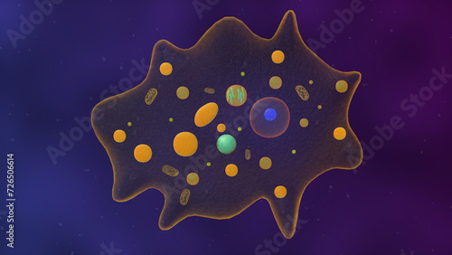 Fotografie amoeba unicellular organism 3d illustration. eukaryotic organisms