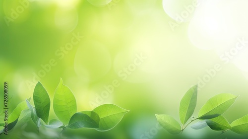 Nature of green leaf in garden at summer. Natural green leaves plants as spring green background.