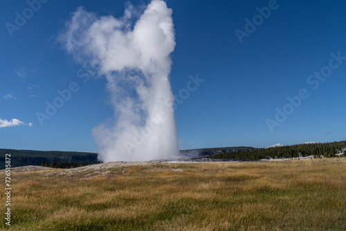 Old Faithful Erupting against a blue sky background, Yellowstone National Park in Autumn