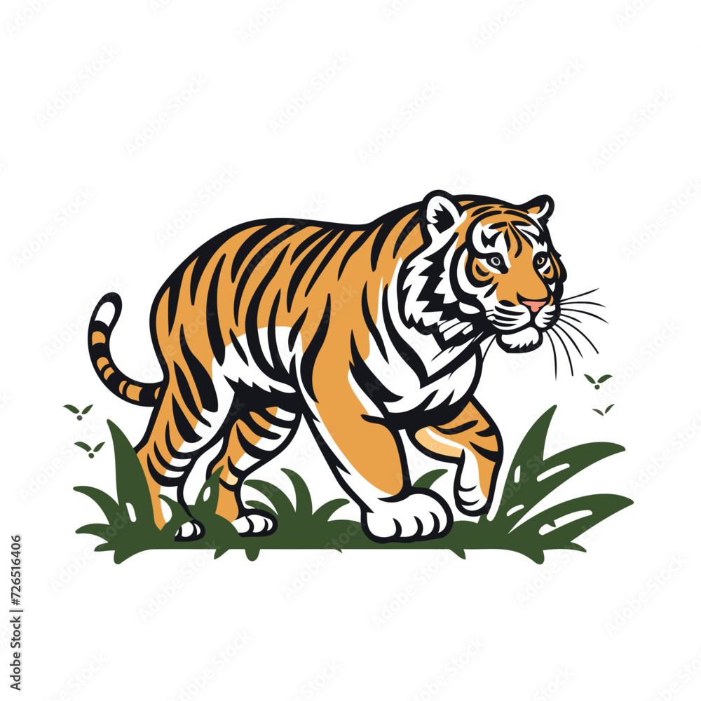 Tiger in the grass. Vector illustration on a white background.