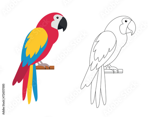 Parrot isolated on white background. Colorful and black and white parrot for coloring book. Coloring book for children. Vector stock