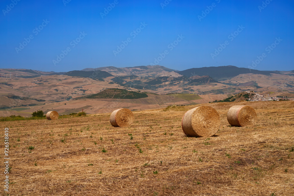 Country landscape near Rocchetta Sant Antonio, Apulia, Italy