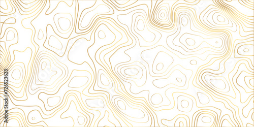 Abstract light golden topography vector background. Topographic map. Geographic mountain relief. counter map wavy gold line paper textrue. grid curve line abstract vector illustration . 