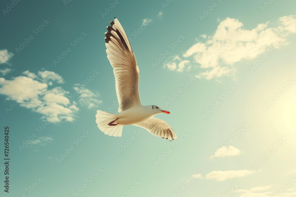 Seagull Flying in Sunlit Blue Sky
Seagull Flying in Sunlit Blue Sky