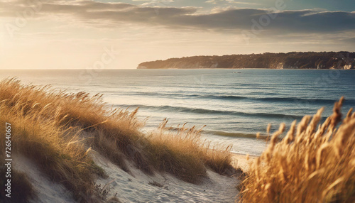 seaside scene with dry grass, bathed in warm sun tones, featuring soft shadows, creating a calm and serene atmosphere photo