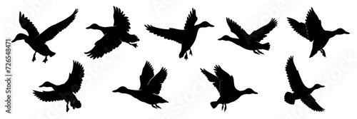 set of silhouettes of duck