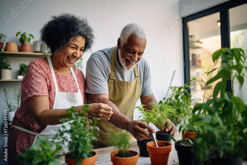 African married senior mature couple planting herbs in living room