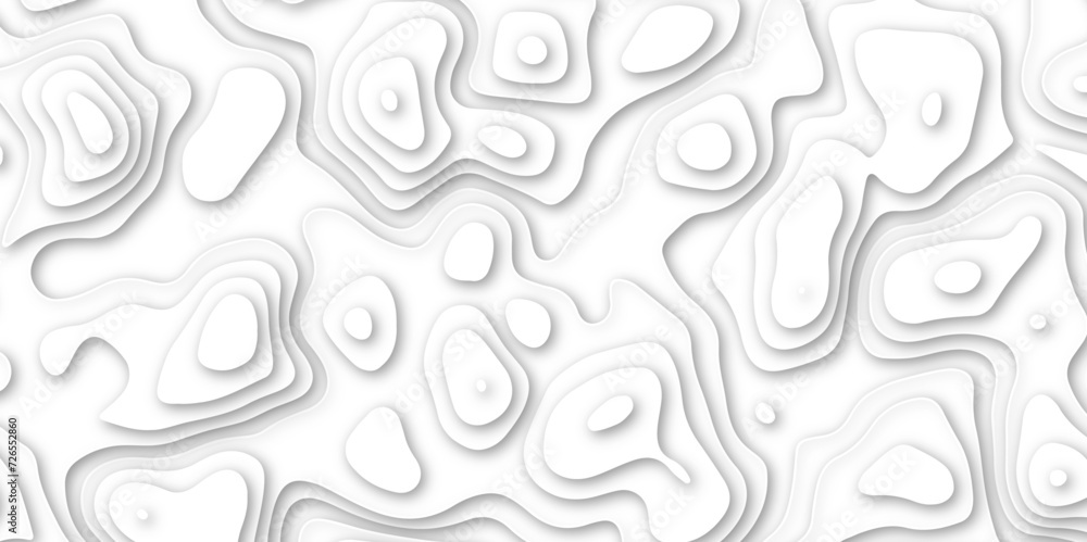 Abstract paper carve template. abstract white and gray 3d papercut topography relief vector background illustration. topographic canyon geometric map relief texture with curved layers and shadow. Abstract paper carve template. abstract white and gray 3d papercut topography relief vector background illustration. topographic canyon geometric map relief texture with curved layers and shadow.