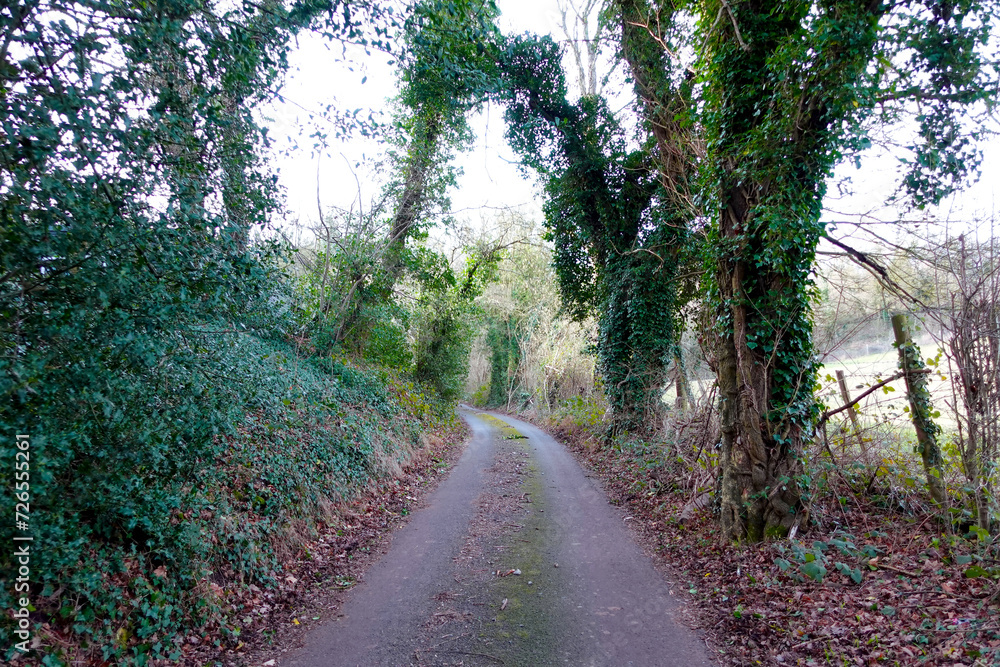 Fototapeta premium Rural Countryside Lanes in England at Autumn