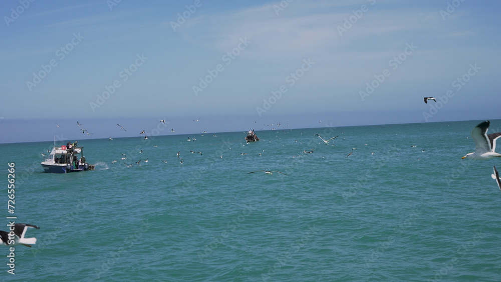 A flock of majestic birds soars over the sparkling ocean as surfers ride the waves and people float on boats, all surrounded by the serene beauty of the outdoor beach scene