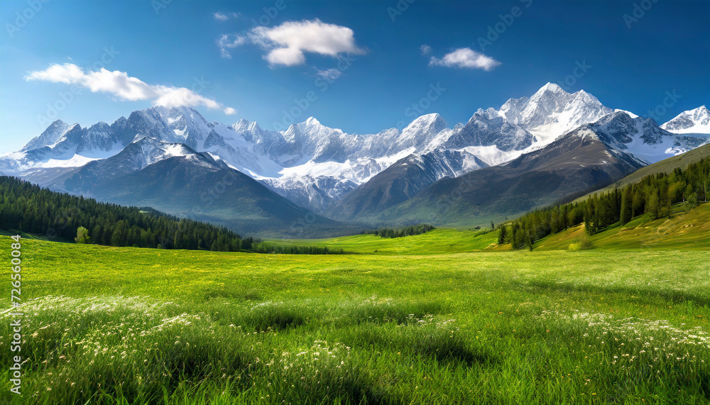 Beautiful spring landscape with alpine meadow and snowy mountains. Beautiful spring landscape with alpine meadow and snowy mountains.