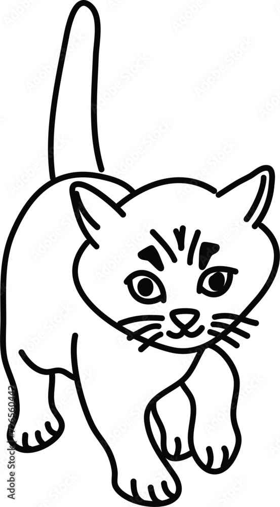 Obraz premium Organic Cat vector outline