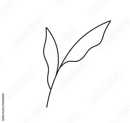 Vector isolated simple tiny little two leaves colorless black and white contour line easy drawing