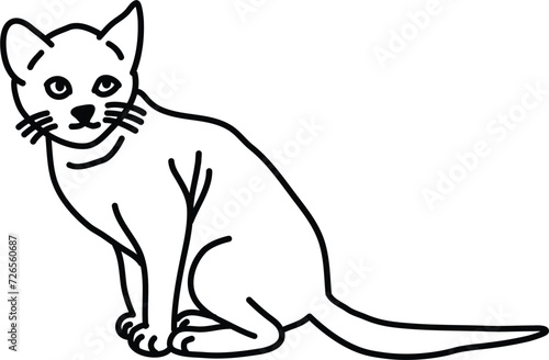 Organic Cat vector outline
