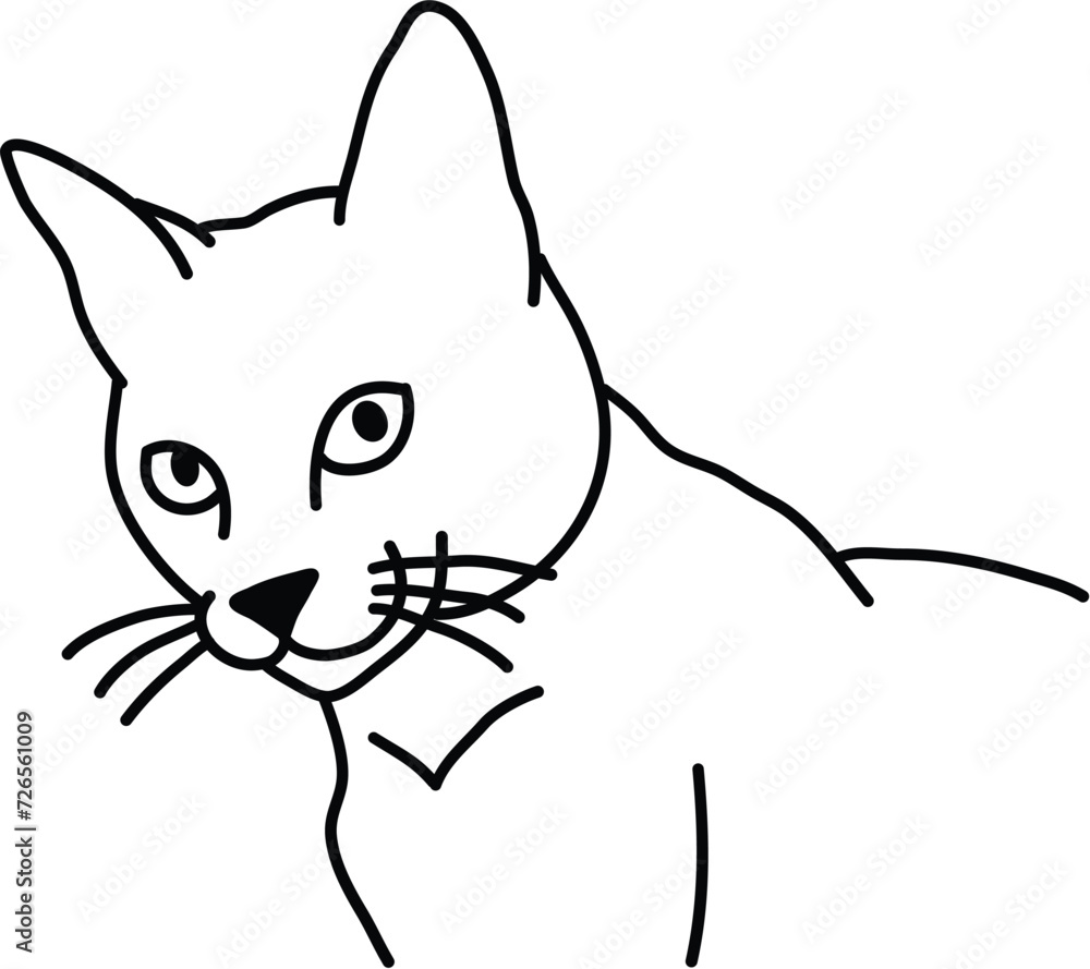 Obraz premium Organic Cat vector outline