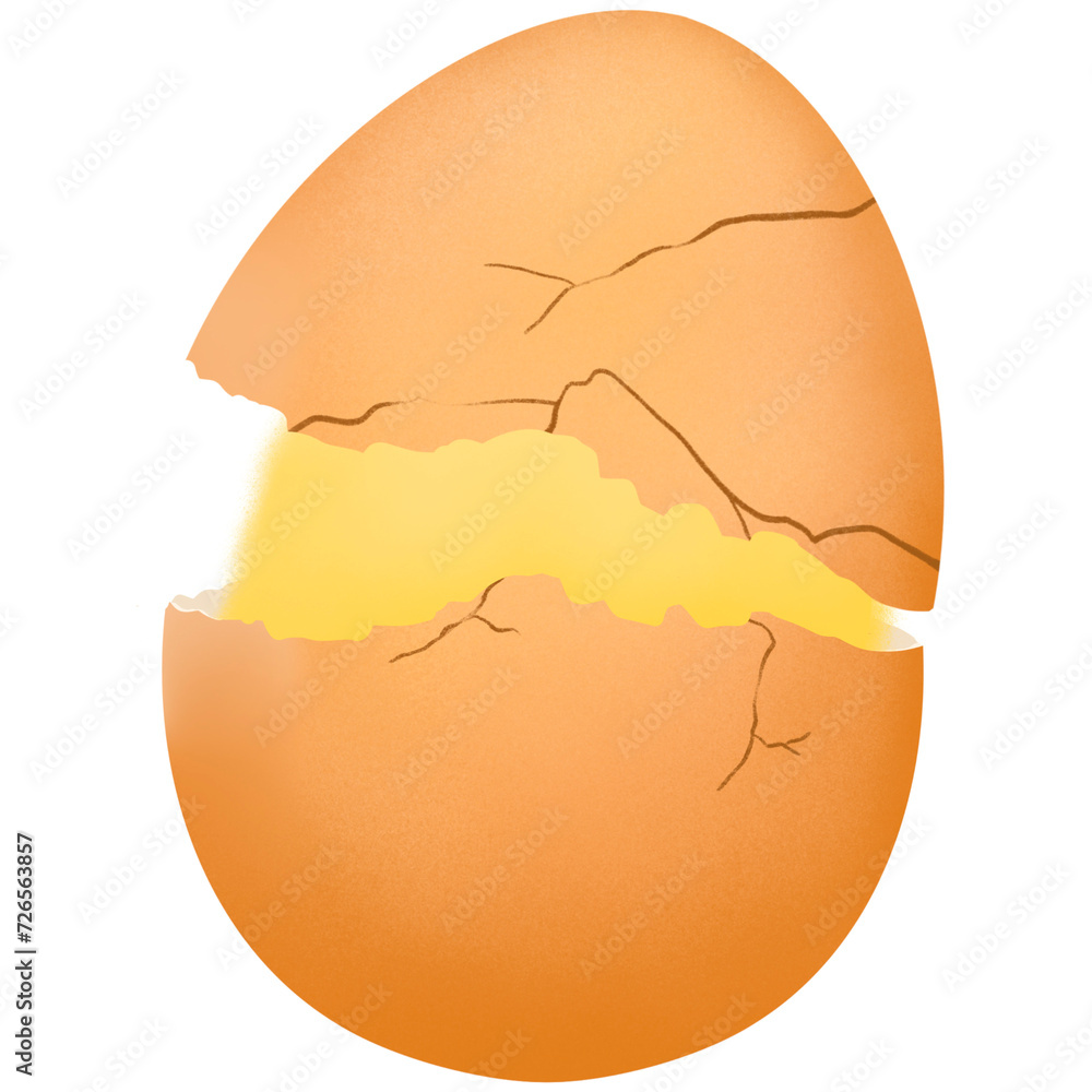 Chick in broken egg shell Chick in broken egg shell