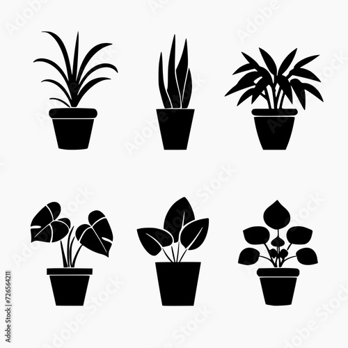 set of indoor ornamental plant icons, white background