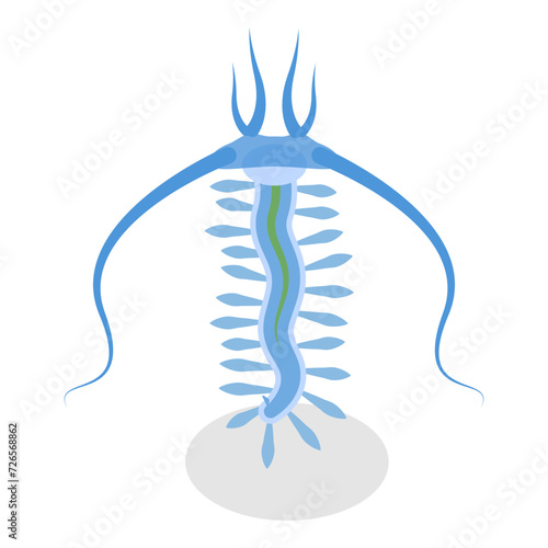3D Isometric Flat Vector Set of Varieties Of Plankton, Collection of Small Water Organisms. Item 4