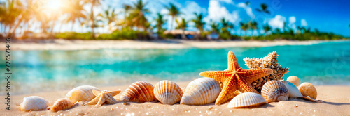 shells and starfish on the seashore. Selective focus.