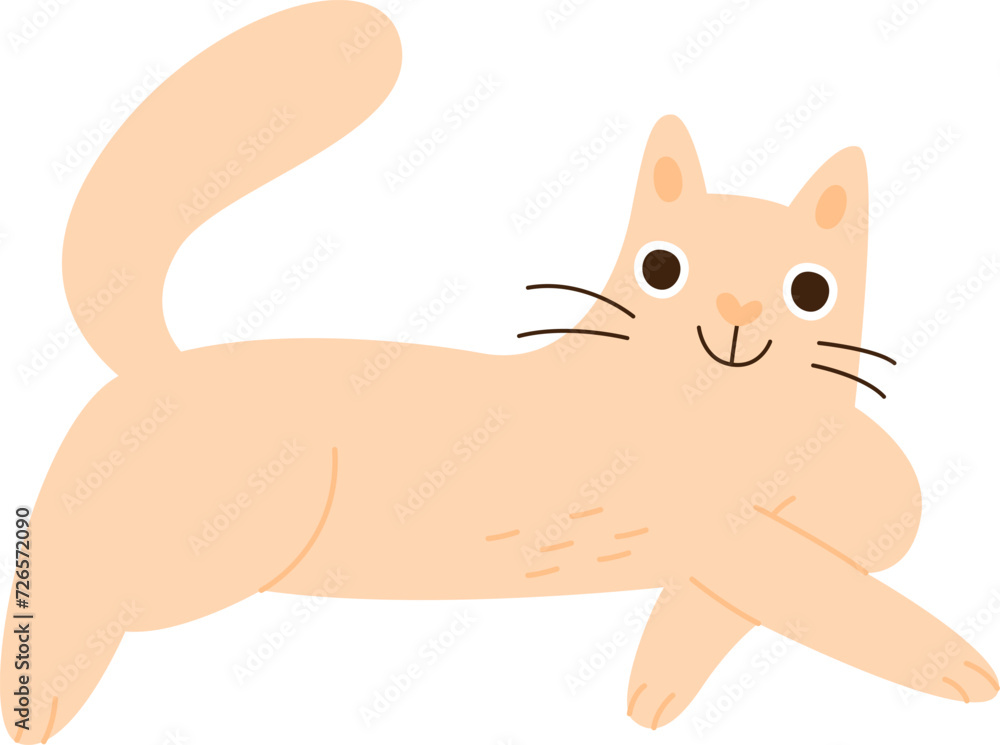 Obraz premium Cat Lying Pet