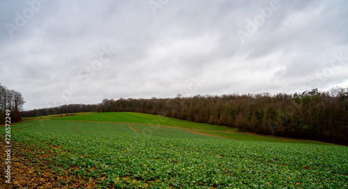 Panorama in a rural landscape in the French Ardennes 