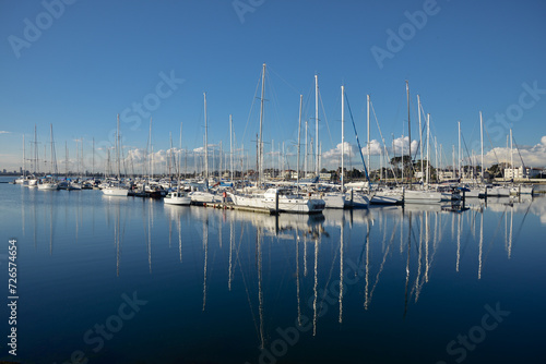 A harbour and pier full of docked boats photo