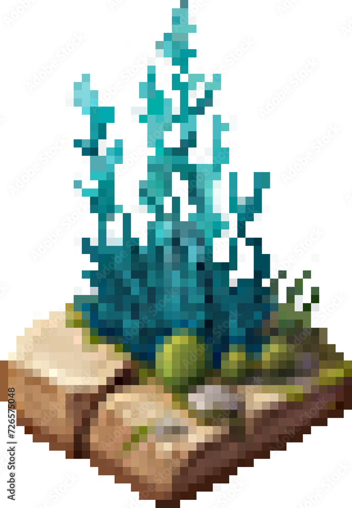 Fototapeta premium See weed on a rock Isometric Pixel Art