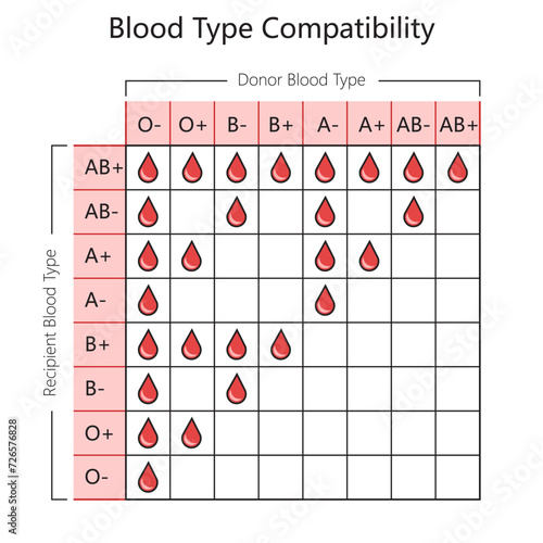 blood type compatibility chart diagram hand drawn schematic vector illustration. Medical science educational illustration
