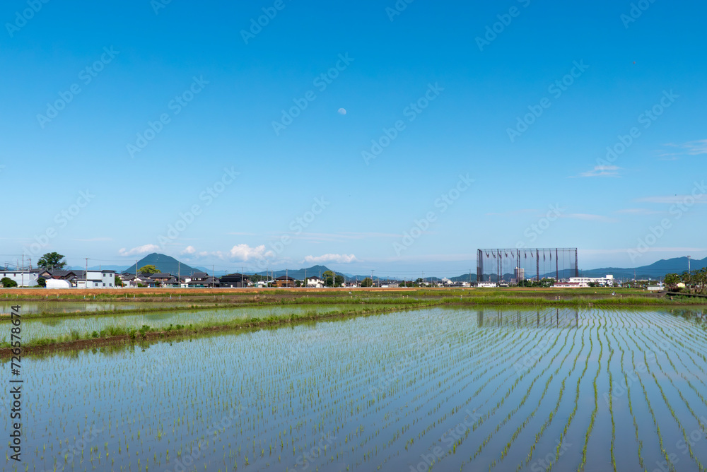 田んぼに映る青空　滋賀県草津市の田園風景