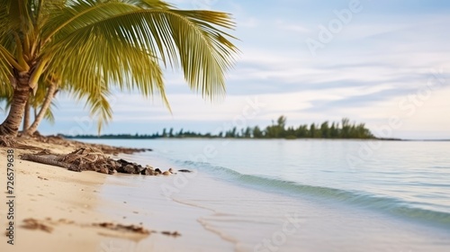 A Picturesque Beach Setting with Palm Trees, Capturing the Spirit of Summer and Leisure