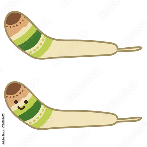 ロイコクロリディウム