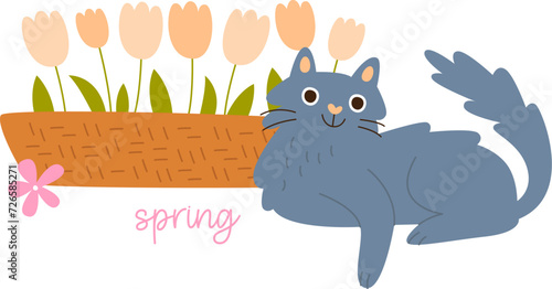 Cat And Flowers