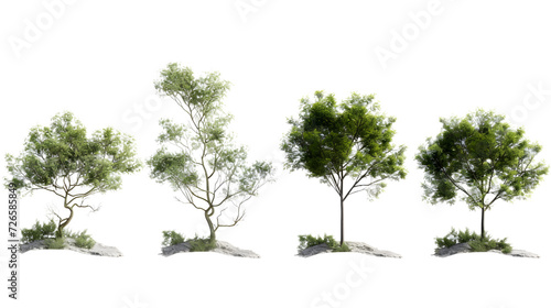 Cutout environmental trees growth shapes set transparent backgrounds 3d render png file