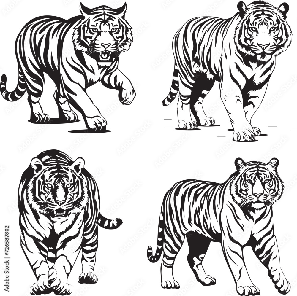 Bengal Tiger Vector Bundle Bengal Tiger Vector Bundle