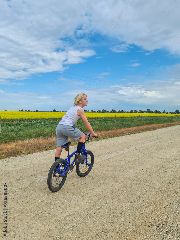 Boy riding bike down country lane beside canola field Boy riding bike down country lane beside canola field