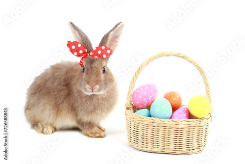 Cute fluffy brown rabbit with long ears wearing red bow and colorful easter eggs basket on white background, bunny animal with easter egg, symbol of happy easter holiday festival. Spring celebration. © Stella