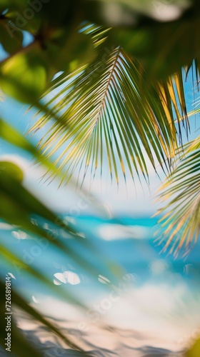 Capture the Beauty of a Blurred Frame Framed by Palm Leaves, Crafting an Abstract and Defocused Background Ideal for a Summer Vacation Ambiance.