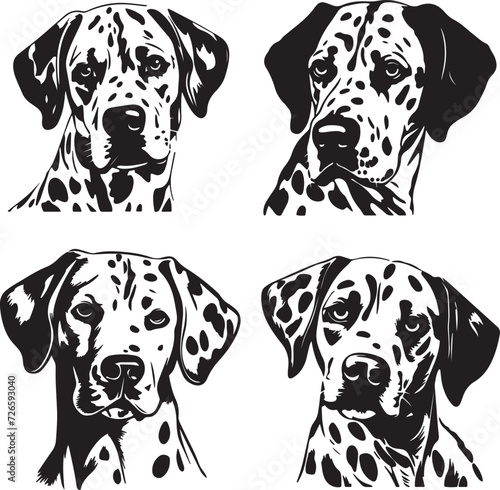 Dalmatian Dog Head