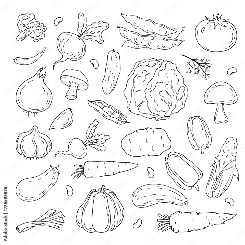 Vector hand drawn vegetables icons set. Vector hand drawn vegetables icons set.
