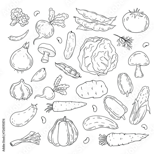 Vector hand drawn vegetables icons set.
