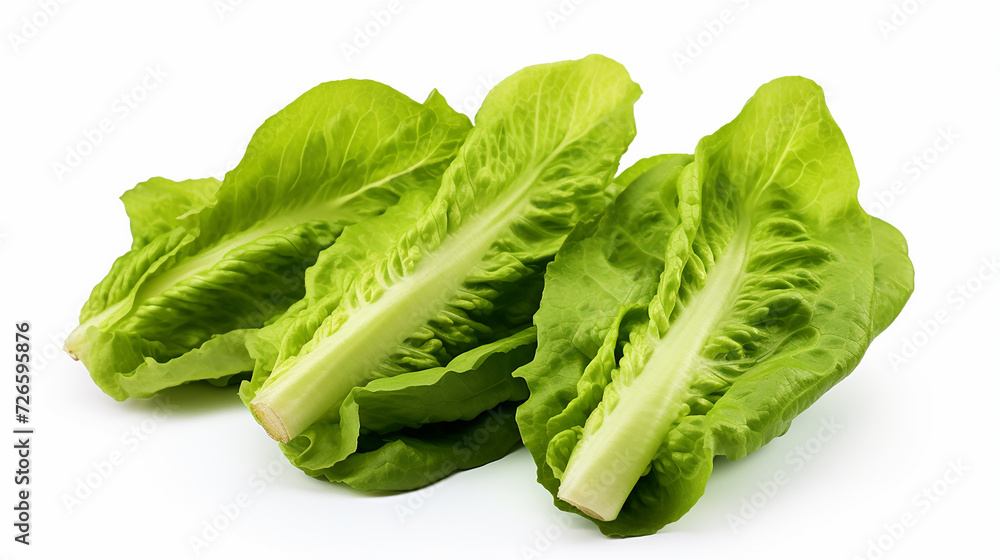 Fresh green cos lettuce isolate on white background. Fresh green cos lettuce isolate on white background.