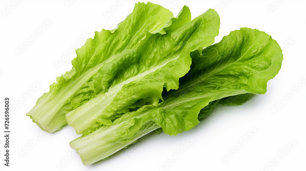 Fresh green cos lettuce isolate on white background. Fresh green cos lettuce isolate on white background.