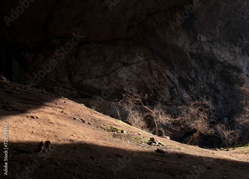 Unique illuminated Ak-Mechet cave with grove of trees in the south of Kazakhstan. photo