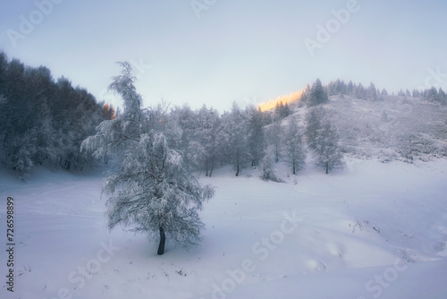 gentle morning winter mountain landscape in the mountains with rising sun photo