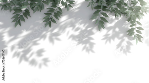 Shadow spa leaves flowing movement isolate transparent backgrounds 