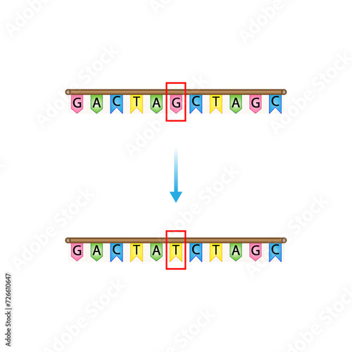 Point mutation, error during DNA replication. Scientific design, Vector illustration.	
