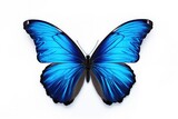 Blue butterfly on a white background. Suitable for nature-themed designs