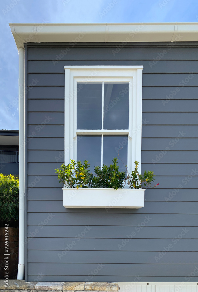 Window with shutters and yellow flowers. Part of the facade of a building with gray wooden laths, a white window and a flowerpot underneath. Window with shutters and yellow flowers. Part of the facade of a building with gray wooden laths, a white window and a flowerpot underneath.